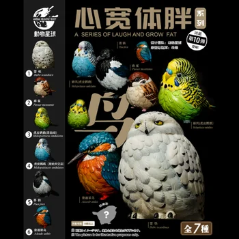 Animal Planet Sorozat Gachapon Játék Golyó 10 Madár Sorozat Kingfisher Veréb hóbagoly Papagáj Modellek Gyerekeknek Ajándékokat